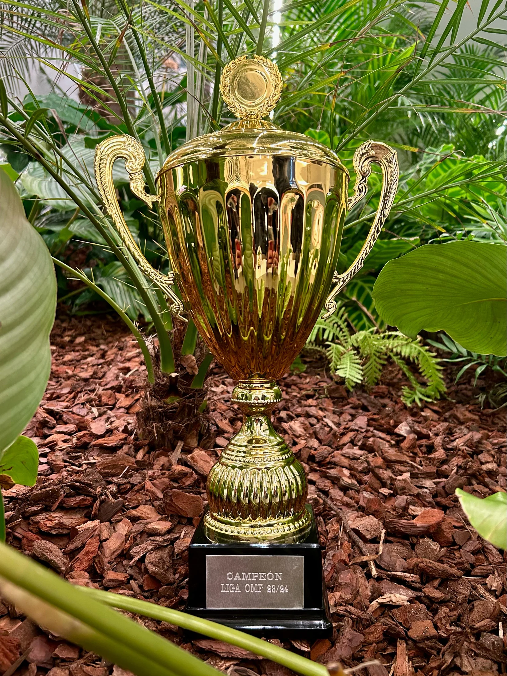 Trofeo de la liga sobre el césped