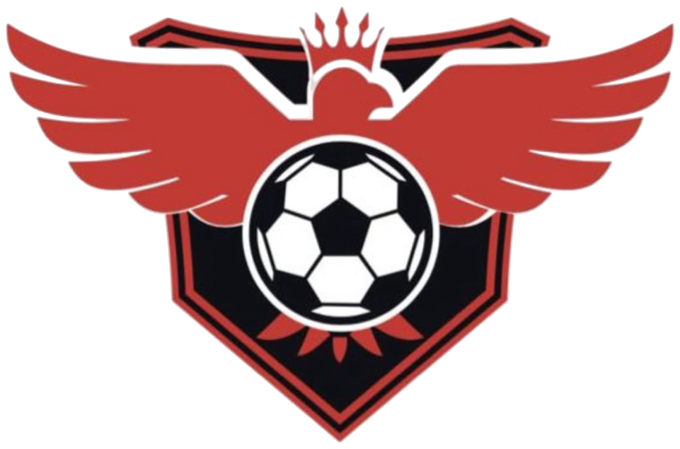 Escudo de RFM